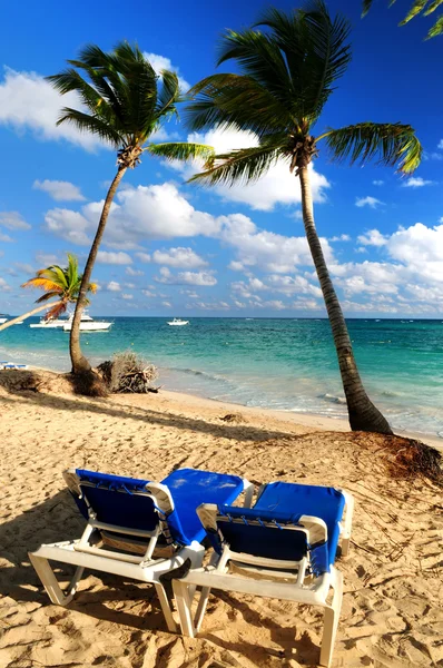 Spiaggia sabbiosa di resort tropicale — Foto Stock