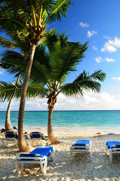 热带度假村与棕榈树和活动靠背椅的沙滩 — 图库照片
