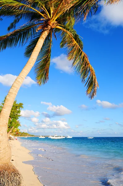 热带沙滩与棕榈树和渔船 — 图库照片