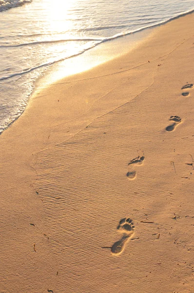 Impronte Sulla Spiaggia Tropicale Sabbiosa All Alba — Foto Stock