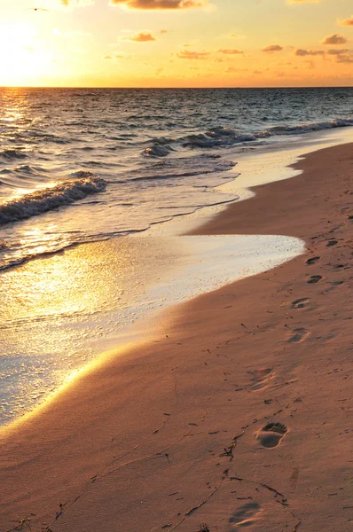 Footprints on sandy beach at sunrise — Stock Photo, Image