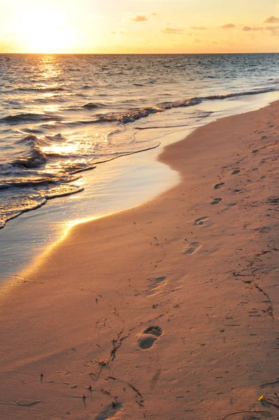Sunrise, kumlu plajda ayak izleri — Stok fotoğraf