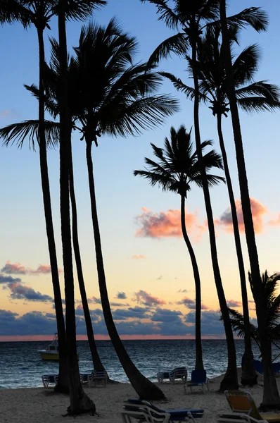 Tropiska sunrise — Stockfoto