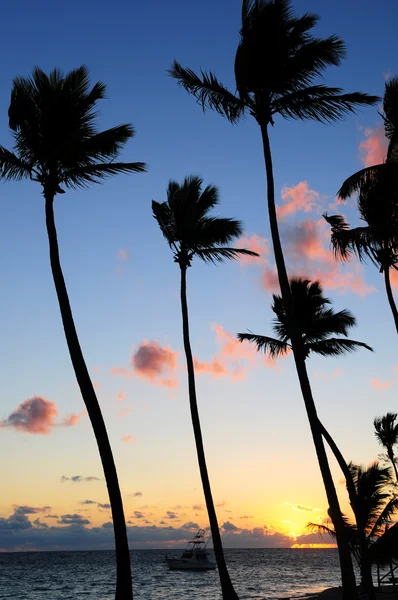Tropiska sunrise — Stockfoto