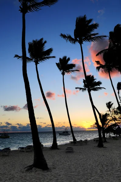 Tropischer Sonnenaufgang — Stockfoto