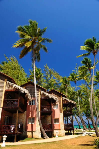 豪华热带海洋海岸与棕榈树度假村 — 图库照片