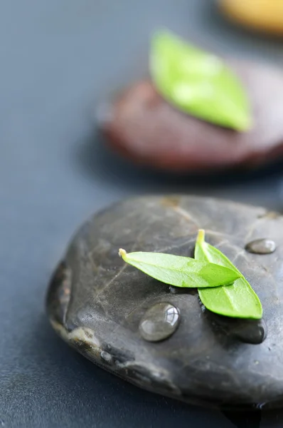 Камни Дзен Погружены Воду Зелеными Листьями — стоковое фото