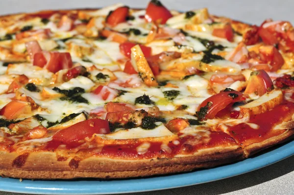 Fırından Yeni Çıkmış Bir Tabakta Akdeniz Pizza — Stok fotoğraf