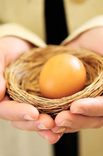 Manos Una Mujer Sosteniendo Nido Con Huevo —  Fotos de Stock
