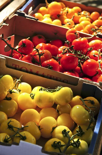 Tomates Coloridos Para Venda Mercado Dos Agricultores — Fotografia de Stock