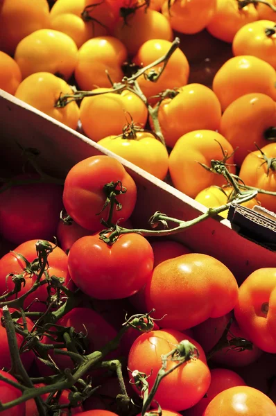 Tomates Colores Para Venta Mercado Del Agricultor — Foto de Stock