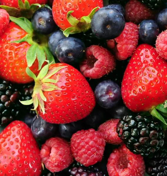 Válogatott friss bogyós gyümölcsök — Stock Fotó