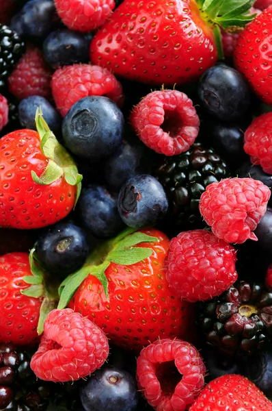 Válogatott friss bogyós gyümölcsök — Stock Fotó