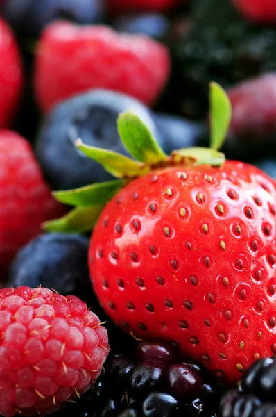 Ассорти свежих ягод — стоковое фото