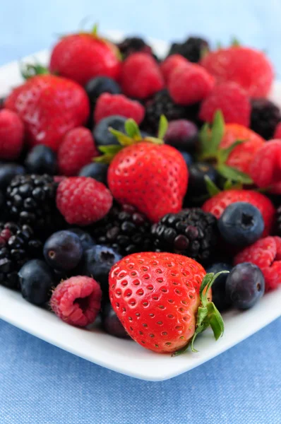 Ассорти свежих ягод — стоковое фото
