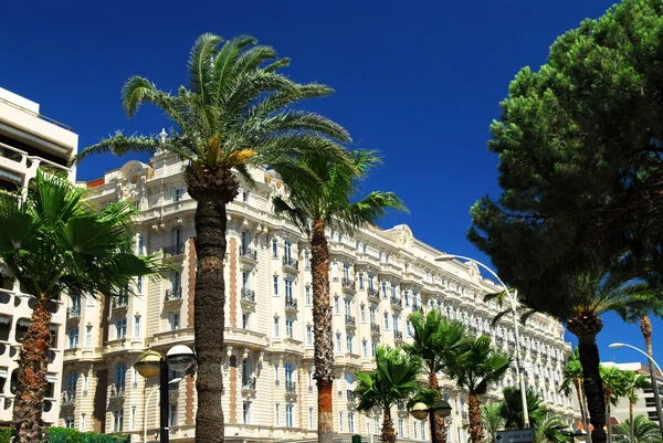 Croisette promenade in Cannes — Stock Photo, Image
