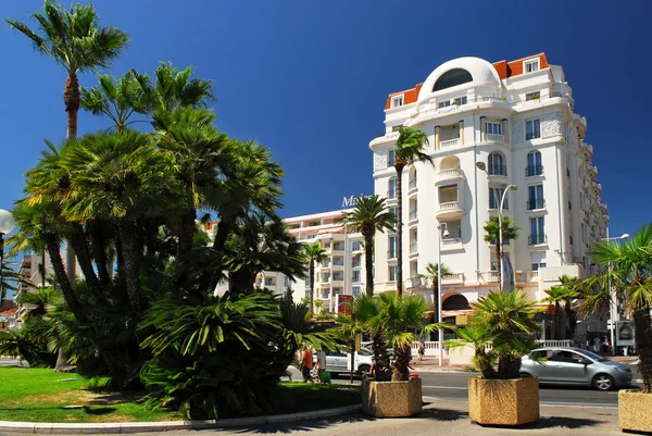 Croisette promenade in Cannes — Stock Photo, Image