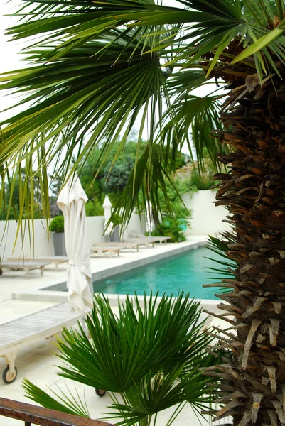 Swimmingpool Einer Mediterranen Villa Der Französischen Riviera — Stockfoto