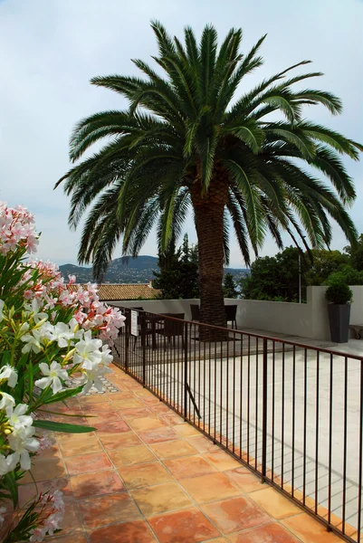 Patio Villa Mediterránea Riviera Francesa —  Fotos de Stock