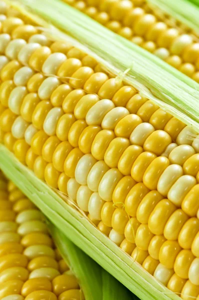 Füle Friss Kukorica Pelyva Közelről — Stock Fotó