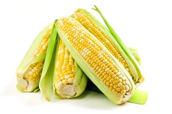 Ähren Von Frischem Mais Isoliert Auf Weißem Hintergrund — Stockfoto