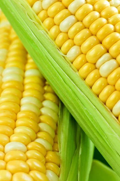 Kukurydza z bliska — Zdjęcie stockowe