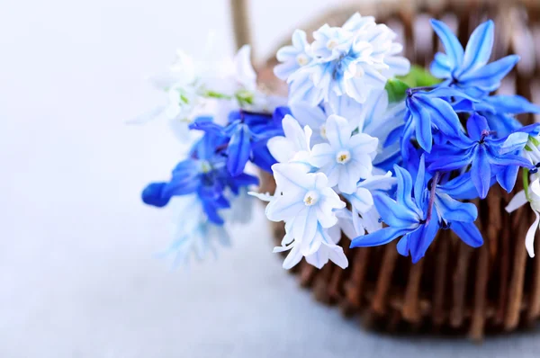 Голубой Букет Первых Весенних Цветов Крупным Планом — стоковое фото
