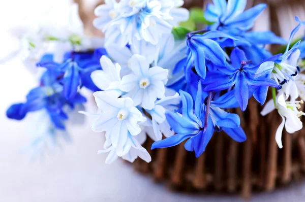 Ilk Bahar Çiçekleri Closeup Mavi Buket — Stok fotoğraf
