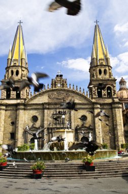 Pigeons flying in front of the Cathedral in historic center in Guadalajara, Jalisco, Mexico clipart