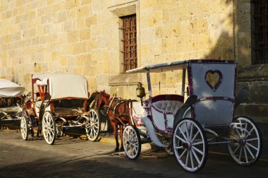 Horse drawn carriages waiting for tourists in historic Guadalajara, Jalisco, Mexico clipart