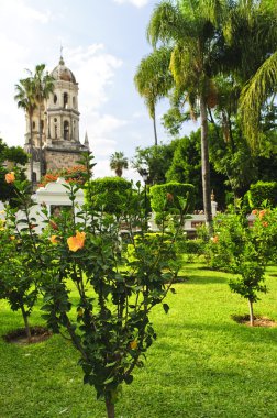 Templo de la Soledad, Guadalajara Jalisco, Mexico clipart