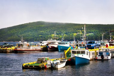 Harbor with various fishing boats in Newfoundland Canada clipart