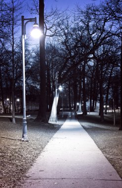 Path through city park at night with street lamps clipart