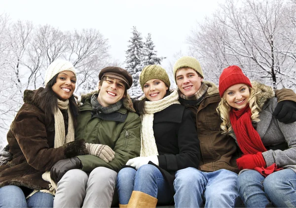 Grupo de amigos afuera en invierno —  Fotos de Stock