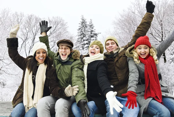 Grupa przyjaciół zadowolony poza zimą — Zdjęcie stockowe