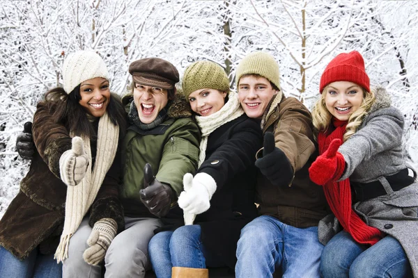 Gruppo di amici all'aperto in inverno — Foto Stock