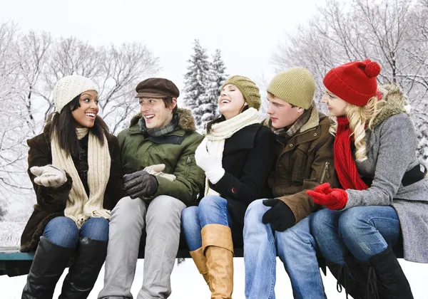 Group Young Friends Talking Laughing Outdoors Winter — Stock Photo, Image