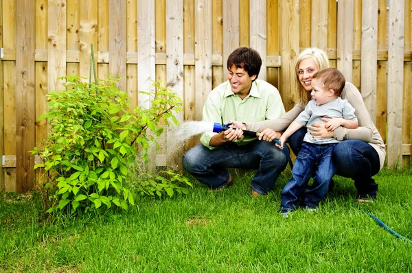 Rodina zalévání rostlin — Stock fotografie