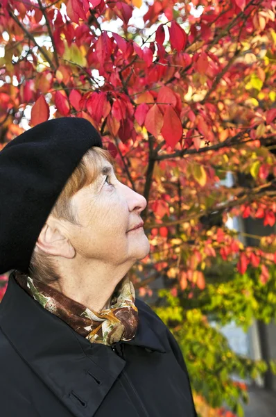 秋の公園で見上げる年配の女性 — ストック写真