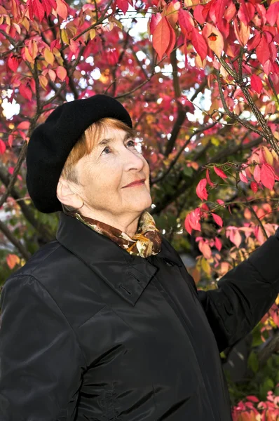 秋の公園で見上げる年配の女性 — ストック写真