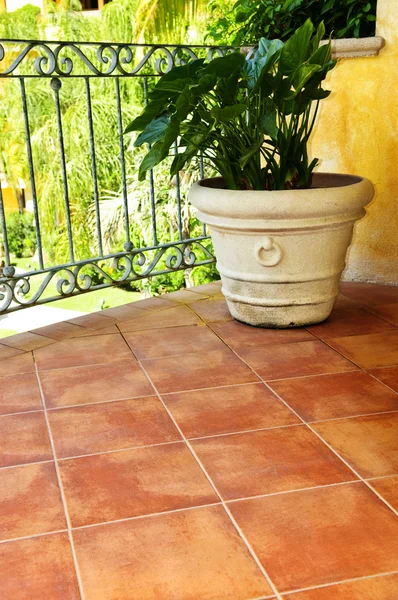 Plant on tiled Mexican veranda — Stock Photo, Image