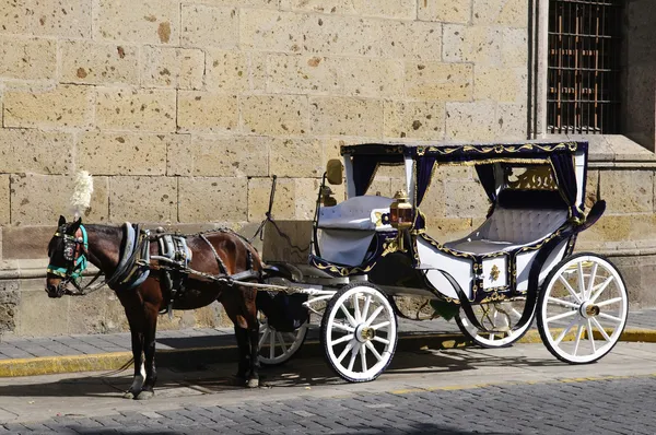 Horse drawn carriage in Guadalajara, Jalisco, Mexico — Stock Photo, Image