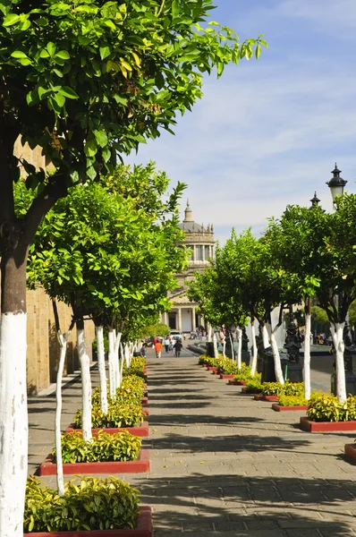 Plaza Tapatia призводить до Оспісіо кабінками для переодягання в Гвадалахарі, Халіско, Мексика — стокове фото
