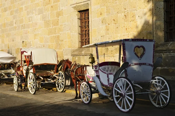 Carruagens Puxadas Cavalo Esperando Turistas Histórica Guadalajara Jalisco México — Fotografia de Stock