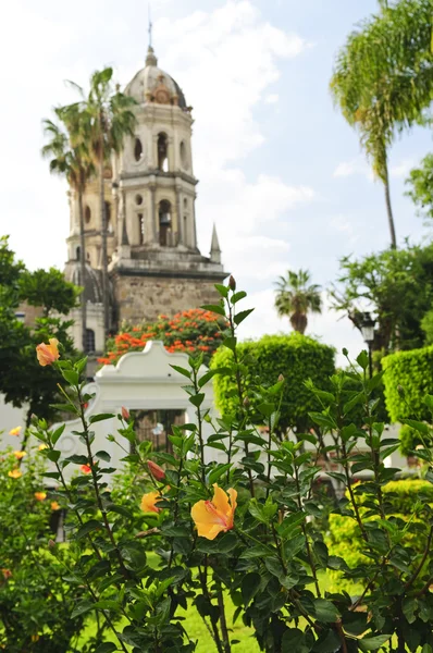 Hibiscus Άνθισης Κοντά Στο Ναό Της Μοναξιάς Templo Soledad Γκουανταλαχάρα — Φωτογραφία Αρχείου