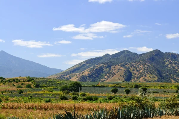 Пейзаж в Халиско, Мексика — стоковое фото