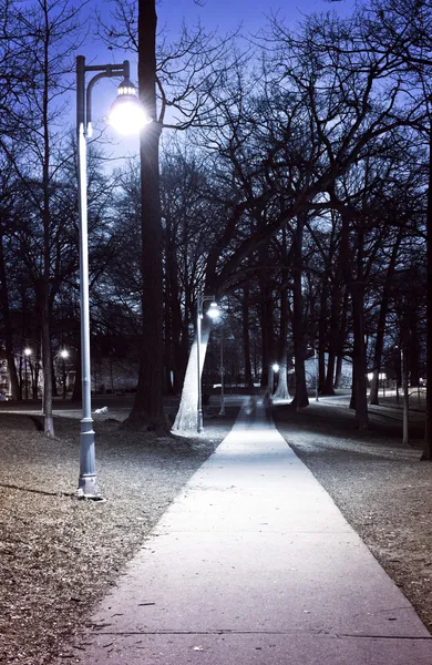 Ścieżka Przez Park Miejski Nocy Lampami Ulicznymi — Zdjęcie stockowe