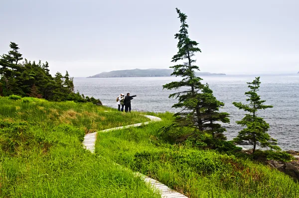 父と子供たち ニューファンドランド カナダの大西洋の海岸に立っています — ストック写真