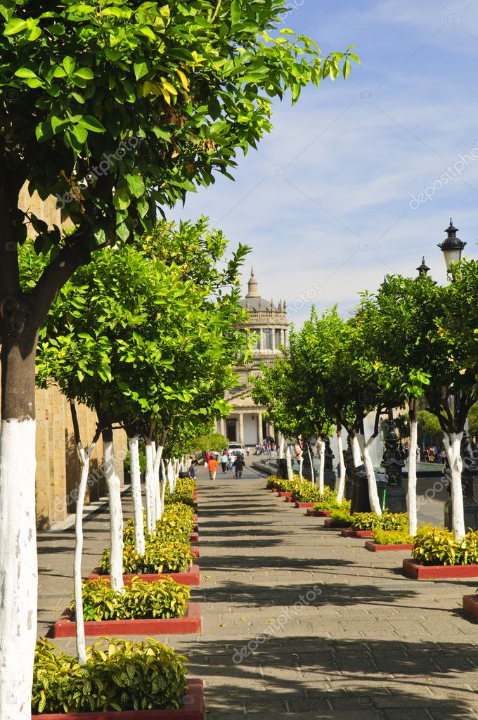 Plaza tapatia
