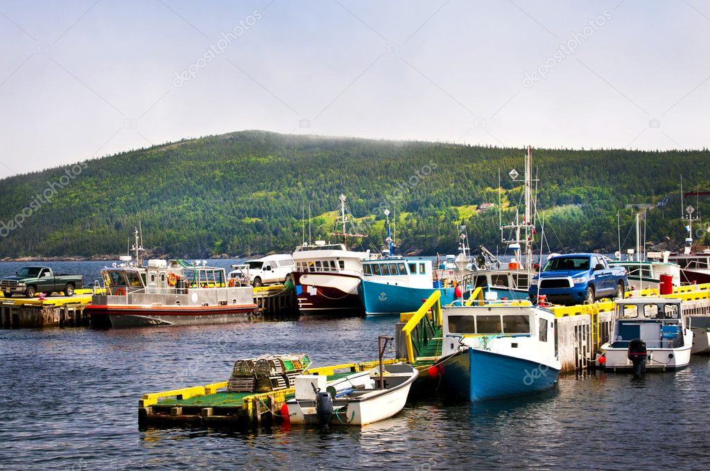 Harbor with various fishing boats in Newfoundland Canada